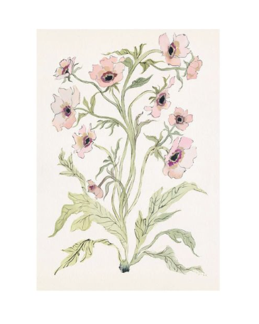 Inslee Farris botanical art print in a pretty pink color for teen bedroom decor.